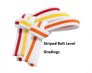 ARO Striped belt gradings
