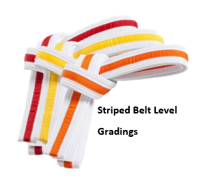 ARO Striped belt gradings